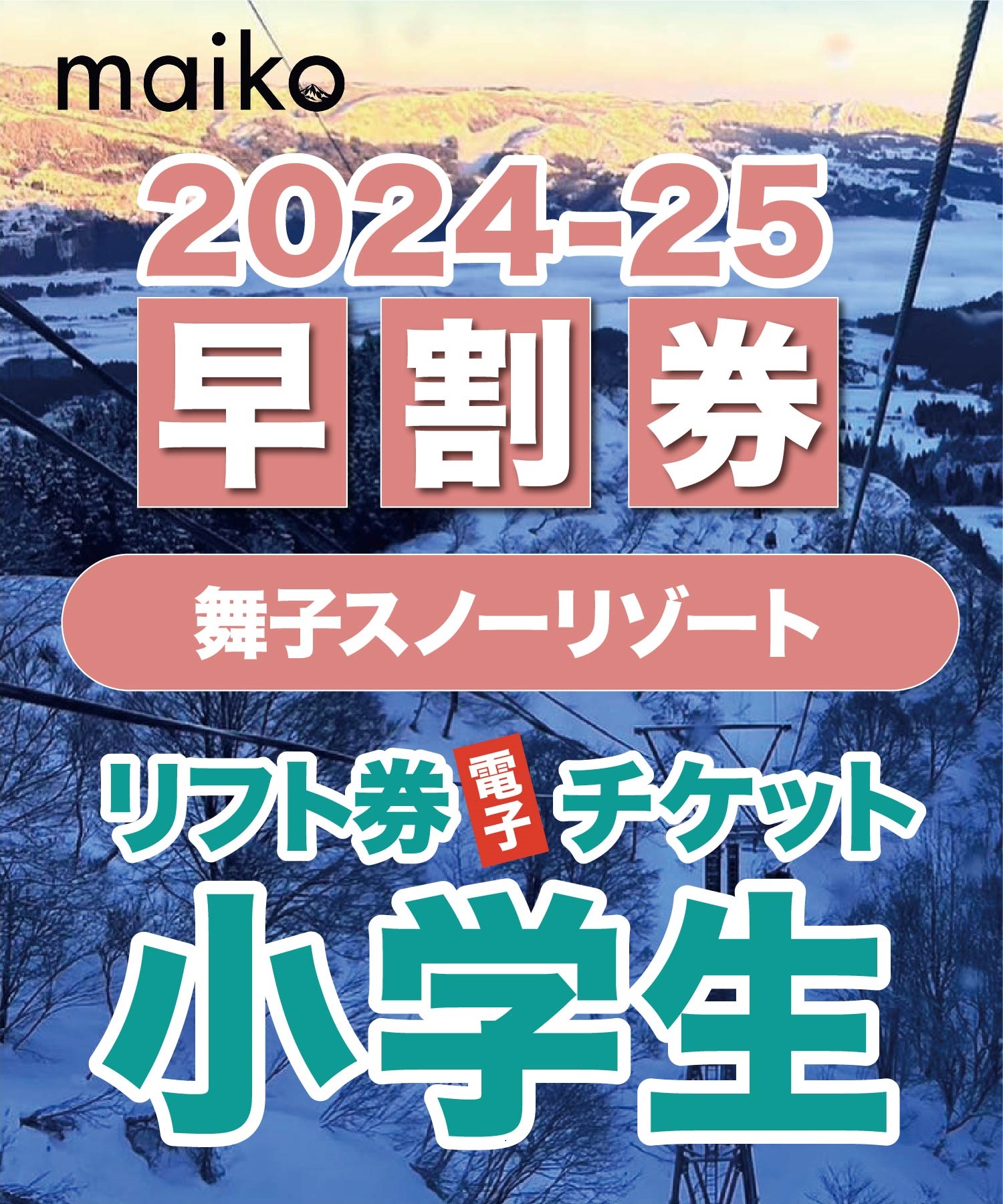 TAKASU MOUNTAINS 50% まぶしい OFF券 2024-2025 4枚