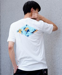 BILLABONG/ビラボン バックプリントTシャツ BC012-201(OFW-M)