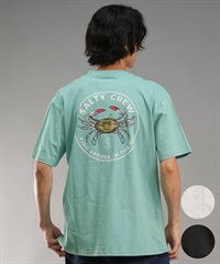 SALTY CREW ソルティークルー メンズ Tシャツ 半袖 バックプリント オーバーサイズ JAPAN LTD 54-232(GRN-M)