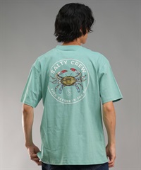 SALTY CREW ソルティークルー メンズ Tシャツ 半袖 バックプリント オーバーサイズ JAPAN LTD 54-232(GRN-M)