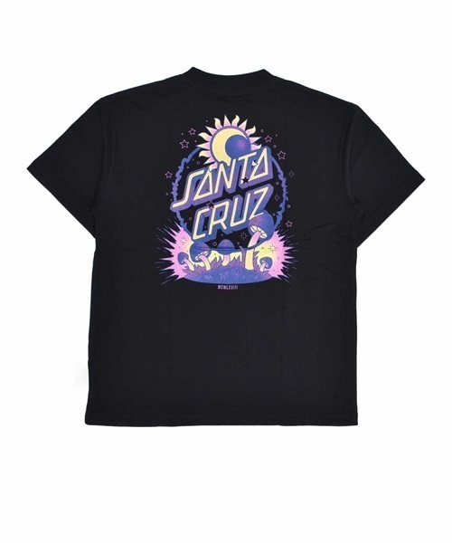 SANTA CRUZ サンタクルーズ DARK ARTS DOT S/S TEE 502231431 レディース 半袖 Tシャツ バックプリント KK1 C28(BK-M)