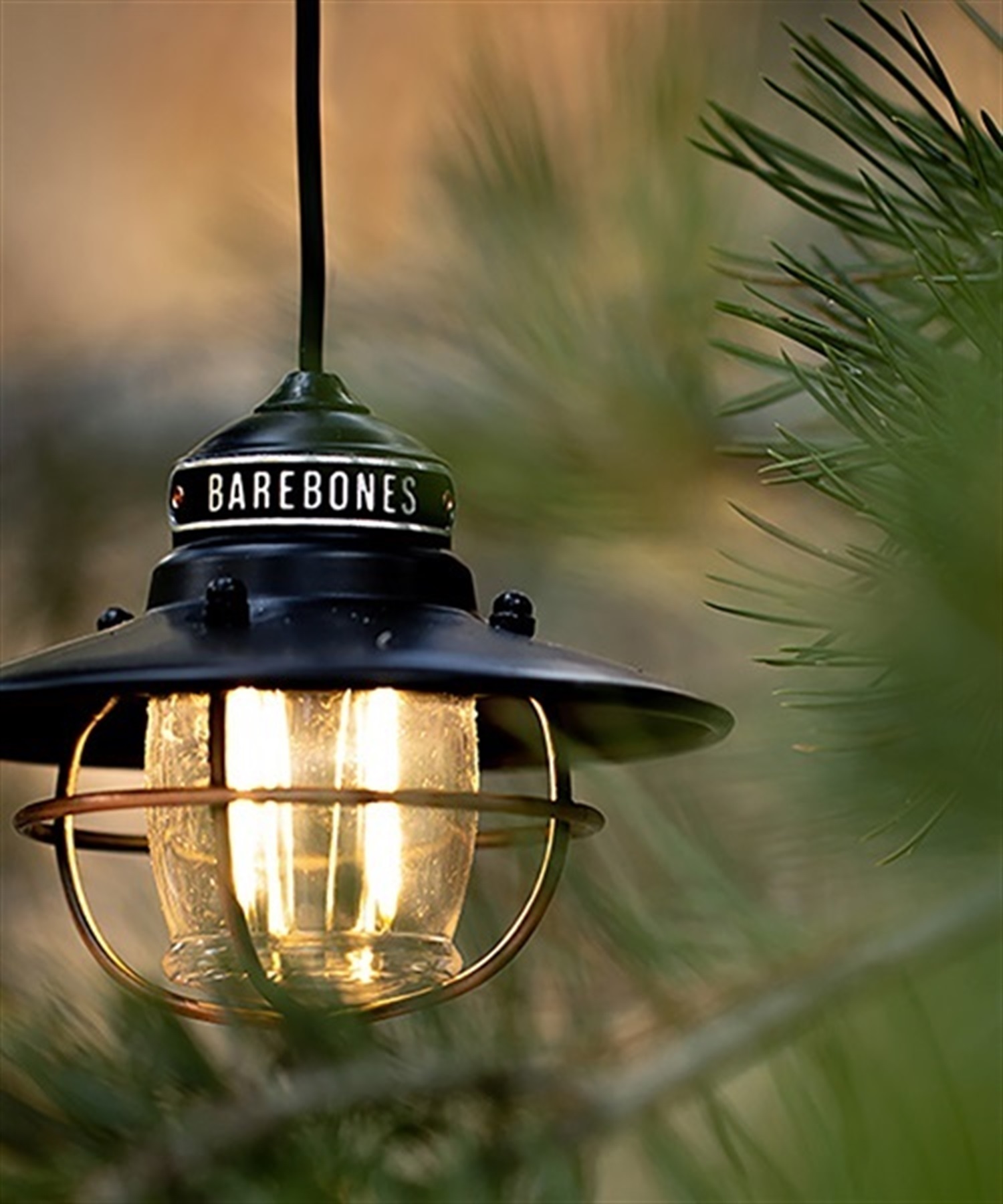 Barebones Living ベアボーンズリビング EDISON PENDANT LIGHT