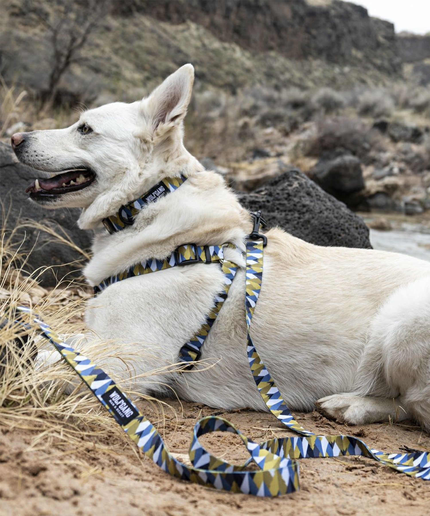 WOLFGANG ウルフギャング 犬用 ハーネス GrandView HARNESS Mサイズ 小型犬用 中型犬用 胴輪 グランドビュー マルチカラー WH-002-02(MULTI-M)