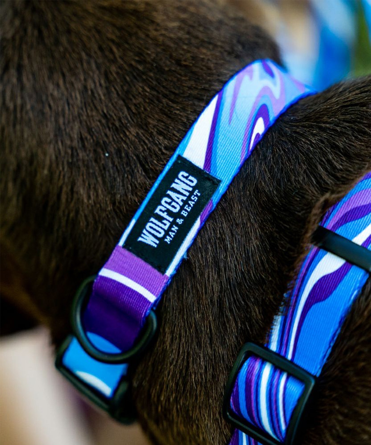 WOLFGANG ウルフギャング 犬用 首輪 MarbleWave Collar Sサイズ 超小型犬用 小型犬用 マーブルウェイブ カラー ブルー系 WC-001-102(PU-S)