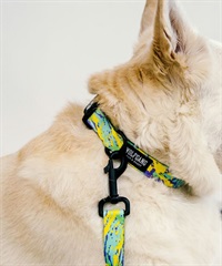 WOLFGANG ウルフギャング 犬用 首輪 ModernCanvas Collar Sサイズ 超小型犬用 小型犬用 モダンキャンバス カラー グリーン系 WC-001-103(GR-S)