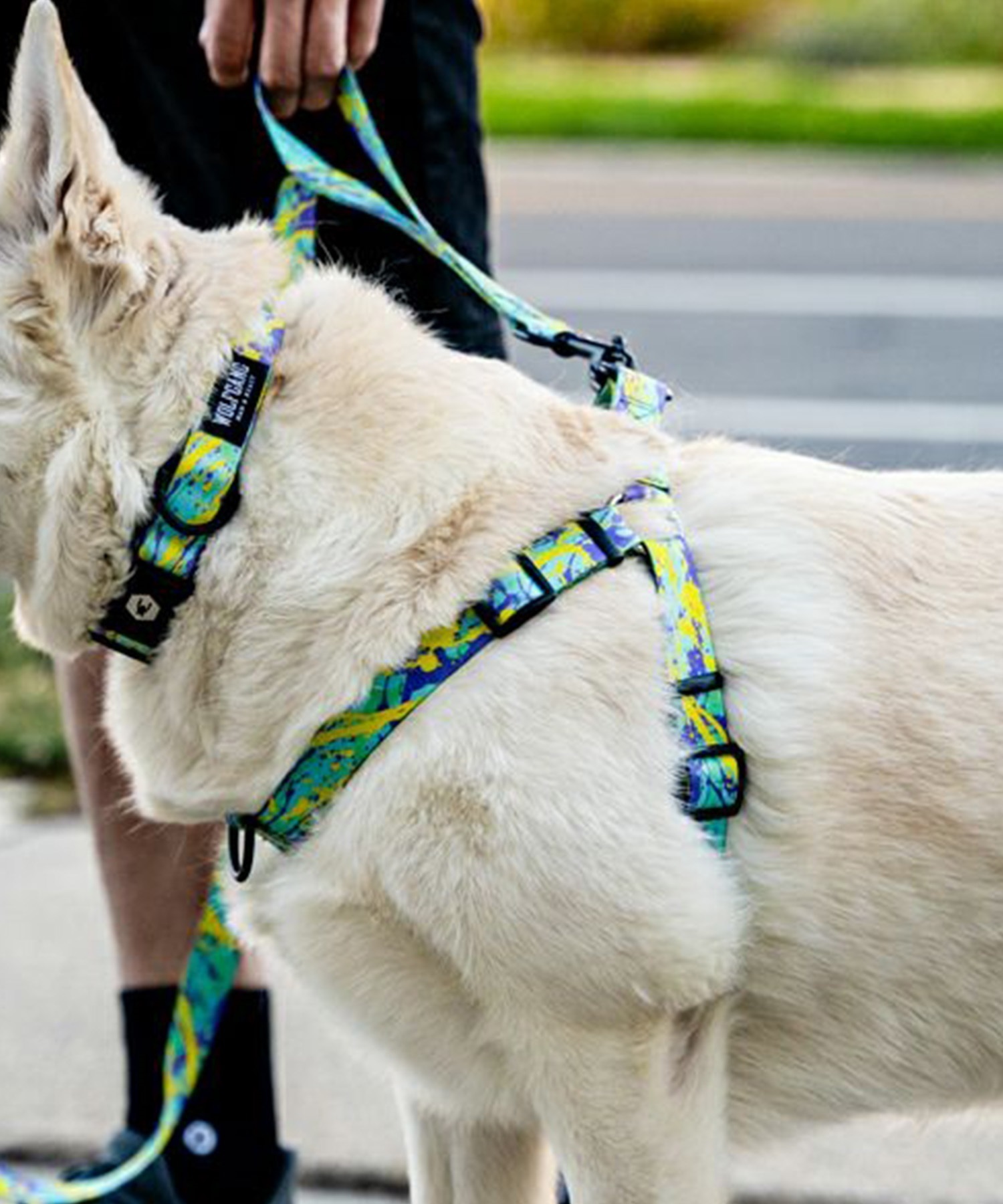 WOLFGANG ウルフギャング 犬用 ハーネス ModernCanvas Harness Sサイズ