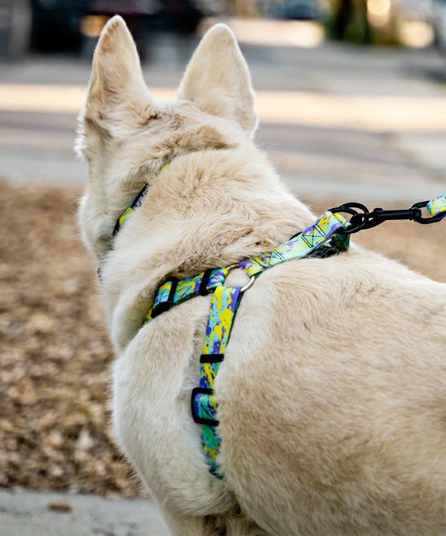 WOLFGANG ウルフギャング 犬用 ハーネス ModernCanvas Harness Mサイズ