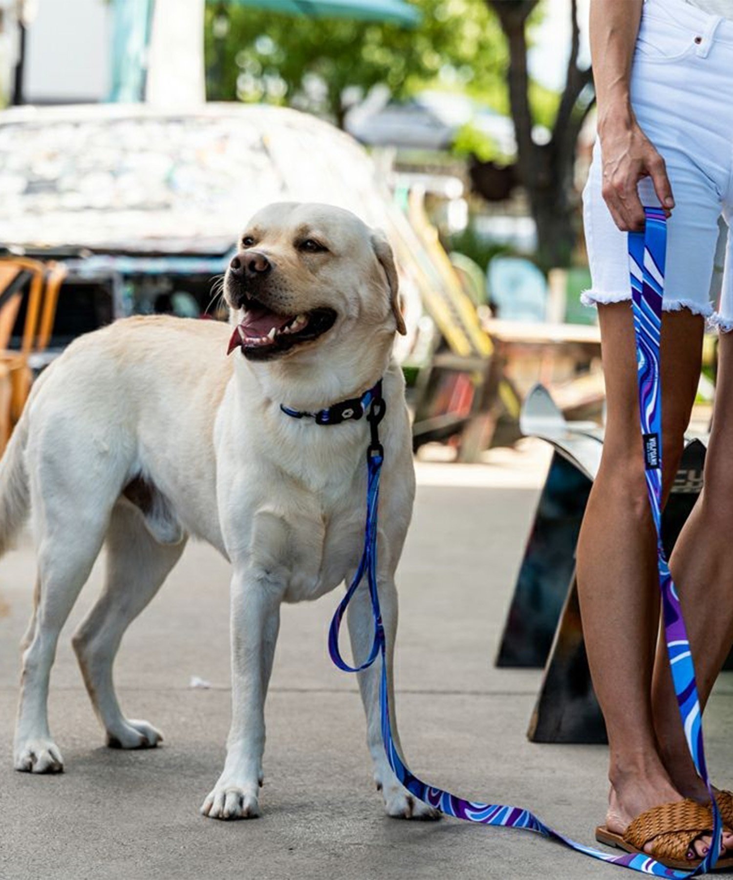 WOLFGANG ウルフギャング 犬用 リード MarbleWave Leash Lサイズ 中型犬用 大型犬用 マーブルウェイブ リーシュ ブルー系  WL-003-102 雑貨｜ムラサキスポーツオンラインストア 通販