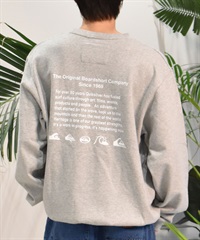 QUIKSILVER クイックシルバー トレーナー クルーネック メンズ スウェット バックプリント 裏起毛 ルーズシルエット QPO244066