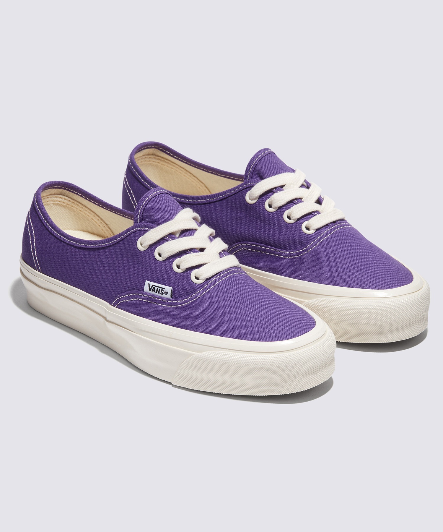 VANS バンズ シューズ スニーカー メンズ レディース MTE オーセンティック MTE Authentic VN000CW2E40(RYPPL-23.5cm)