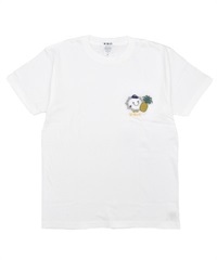 FUTABAFRUITS フタバフルーツ 半袖 Tシャツ レディース FT2402-03