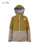 【早期購入/店頭受取対象外】THE NORTH FACE ノースフェイス スノーボード ウェアジャケット ユニセックス LAYBACK BC JACKET 24-25モデル LL E2(KP-M)