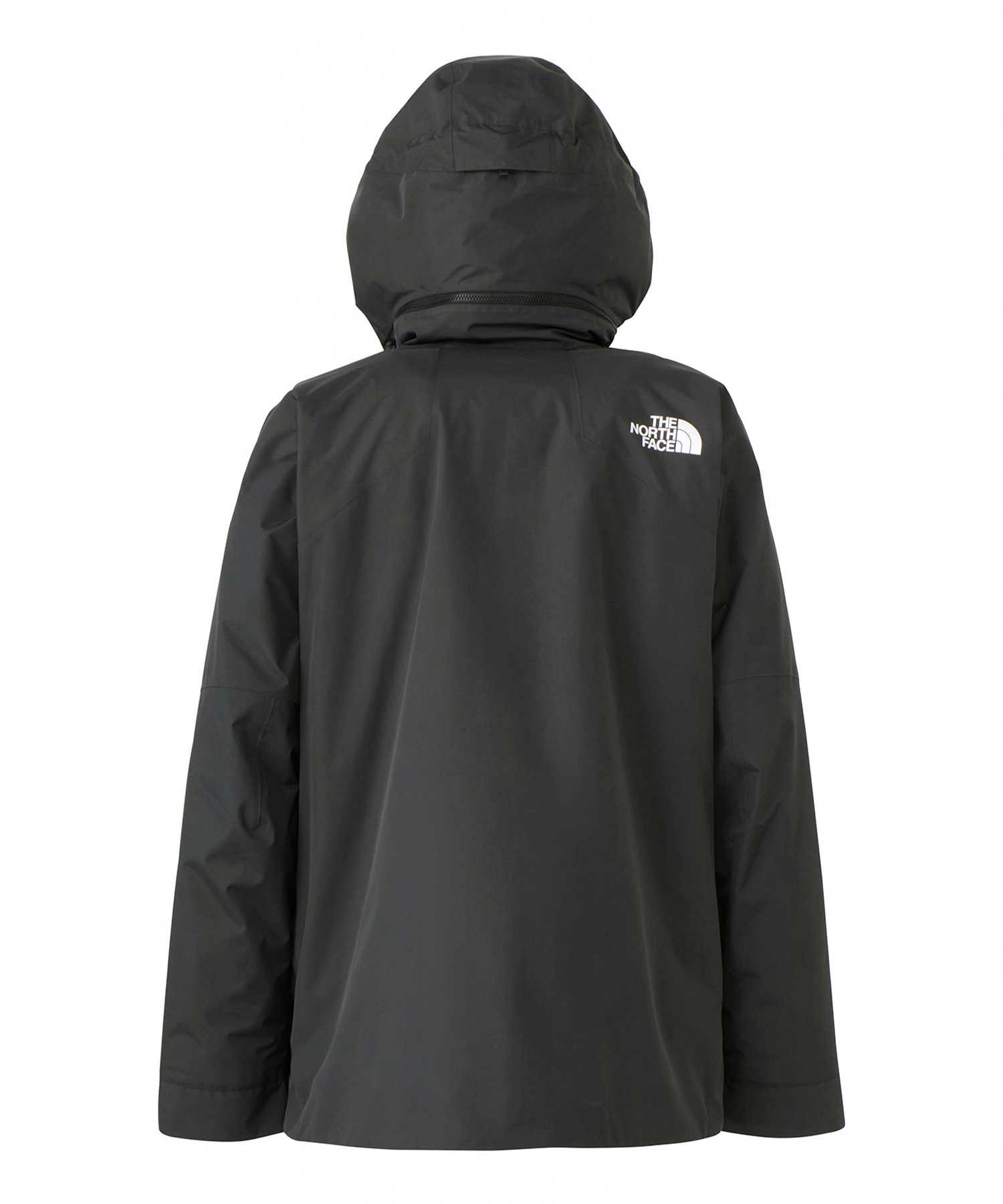 THE NORTH FACE ノースフェイス スノーボード ウェア ジャケット ユニセックス GORE-TEX LAYBACK RIDE JACKET 24-25モデル(AG-M)