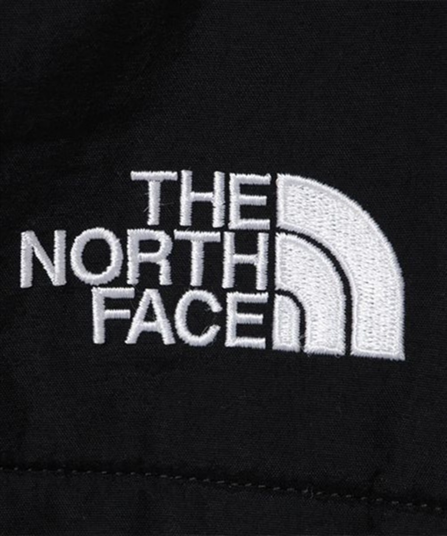 THE NORTH FACE ザ・ノース・フェイス Denali Hoodie デナリフーディ