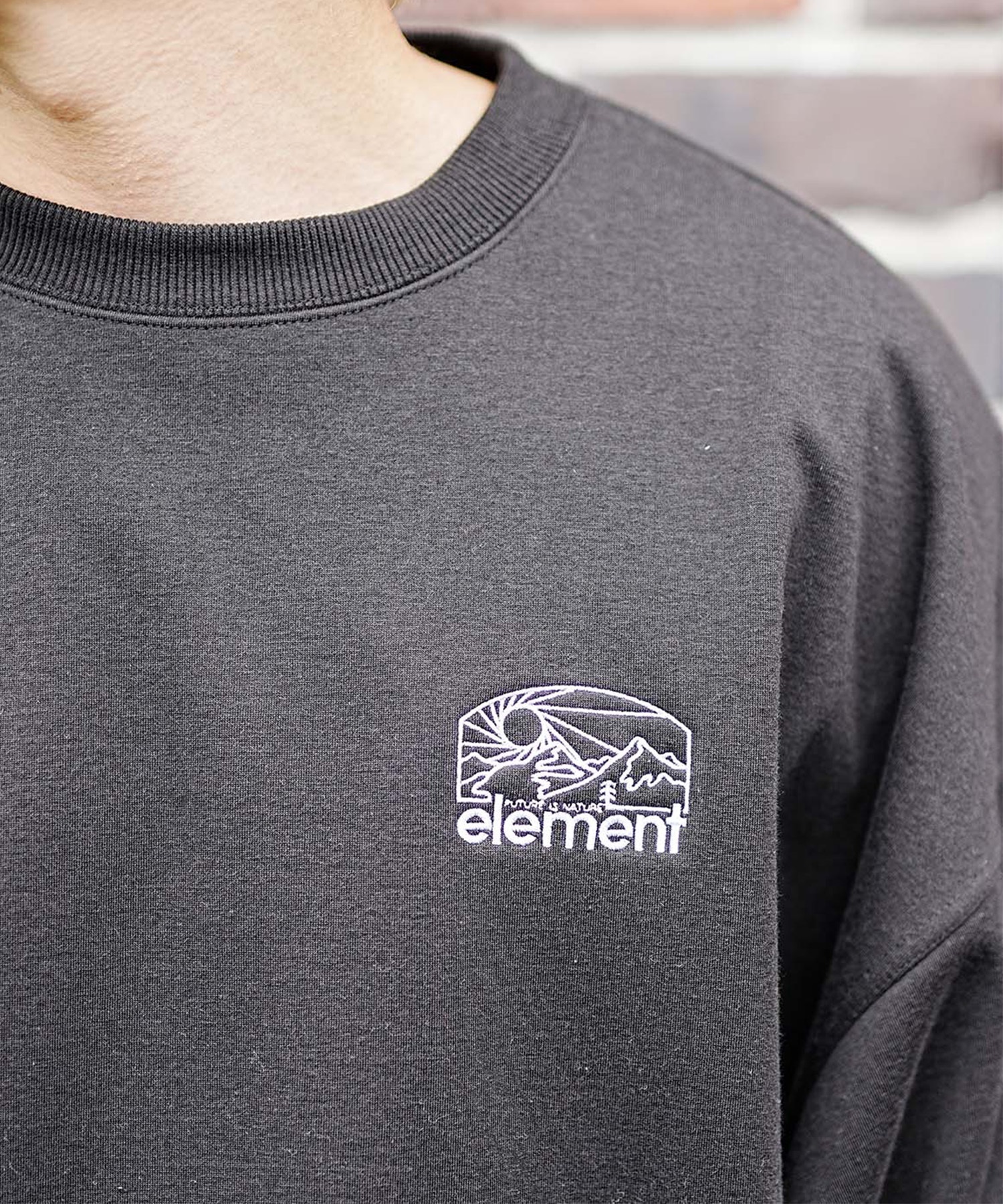 ELEMENT/エレメント SUNSET CREW WR メンズ トレーナー クルーネック