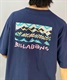 BILLABONG ビラボン THEME GRAPHIC BD011-216 メンズ 半袖 Tシャツ バックプリント KX1 B23(DNY-M)