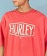 Hurley ハーレー OVERSIZED PIGMENT TEE オーバーサイズ ピグメント ティー MSS2310018 メンズ 半袖 Tシャツ KX1 C20(VML-S)