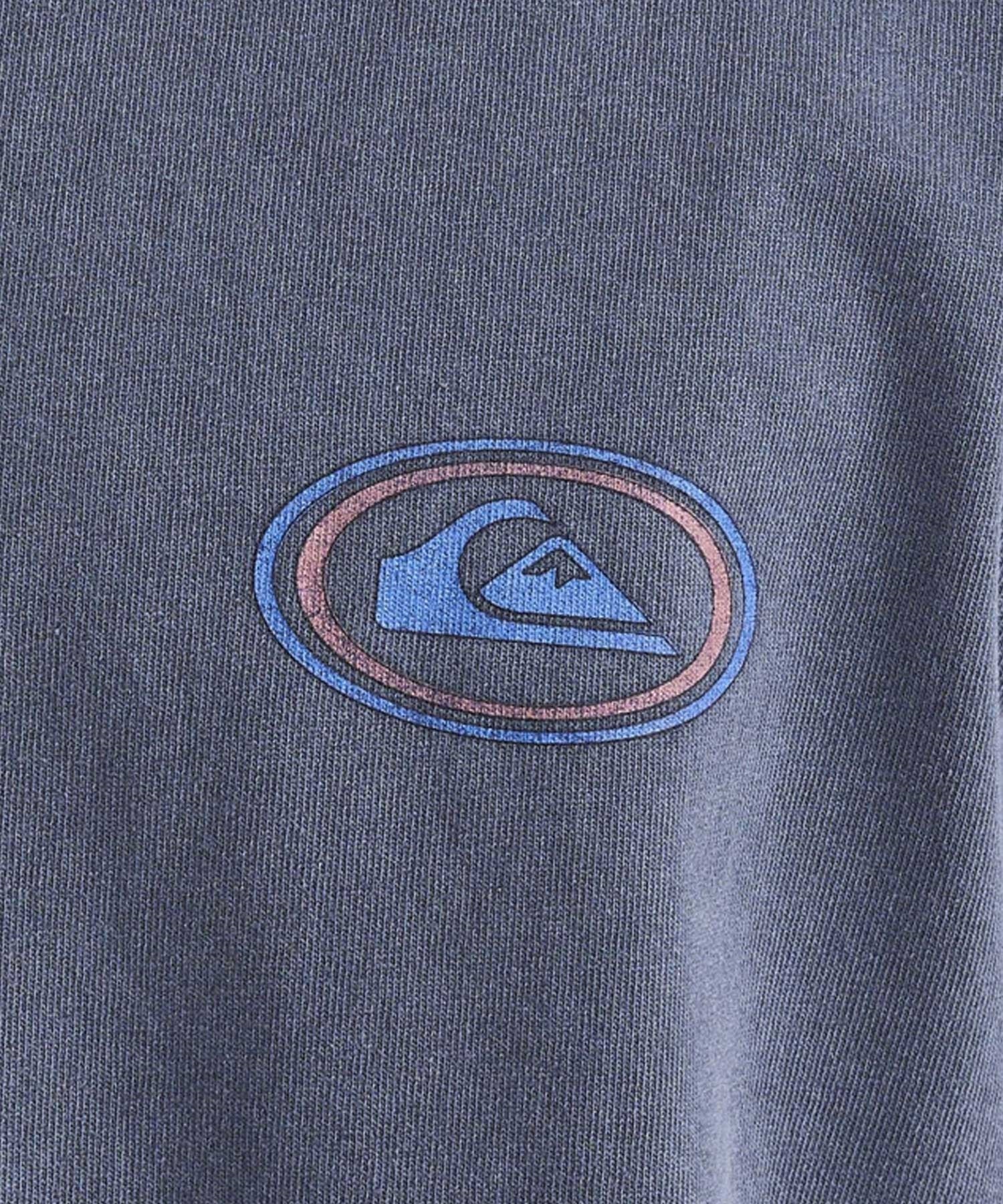 【クーポン対象】QUIKSILVER クイックシルバー QST241009 メンズ 半袖 Tシャツ ライディングトゥデイ ST バックプリント(WHT-M)