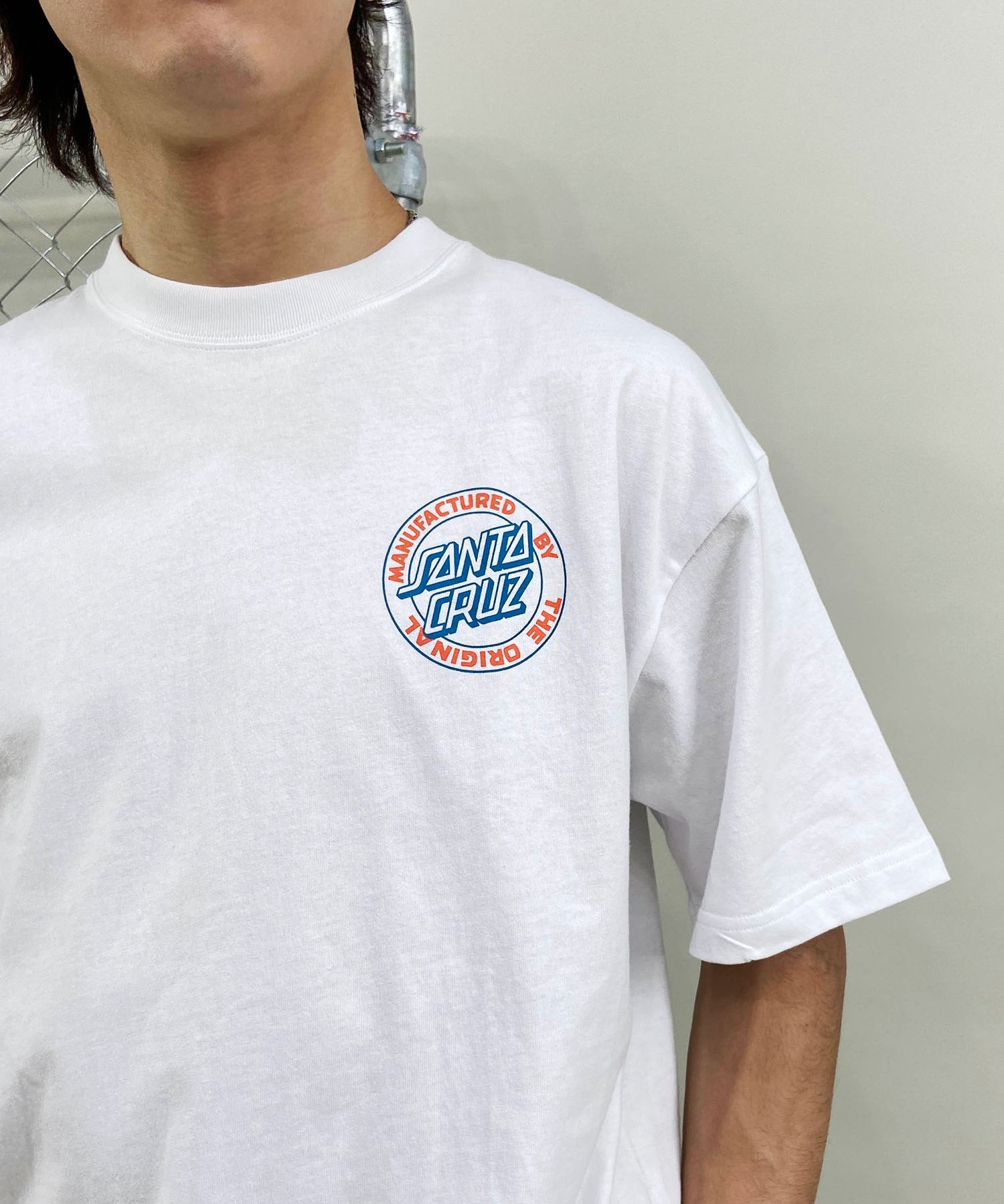 【ムラサキスポーツ限定】 SANTACRUZ サンタクルーズ メンズ 半袖 Tシャツ バックプリント 502241412(ASHBL-M)