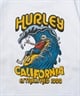 Hurley ハーレー BIG WAVE HEAVY WEIGHT SHORT SLEEVE TEE メンズ 半袖 Tシャツ 24MRSMSS01(CFB-S)