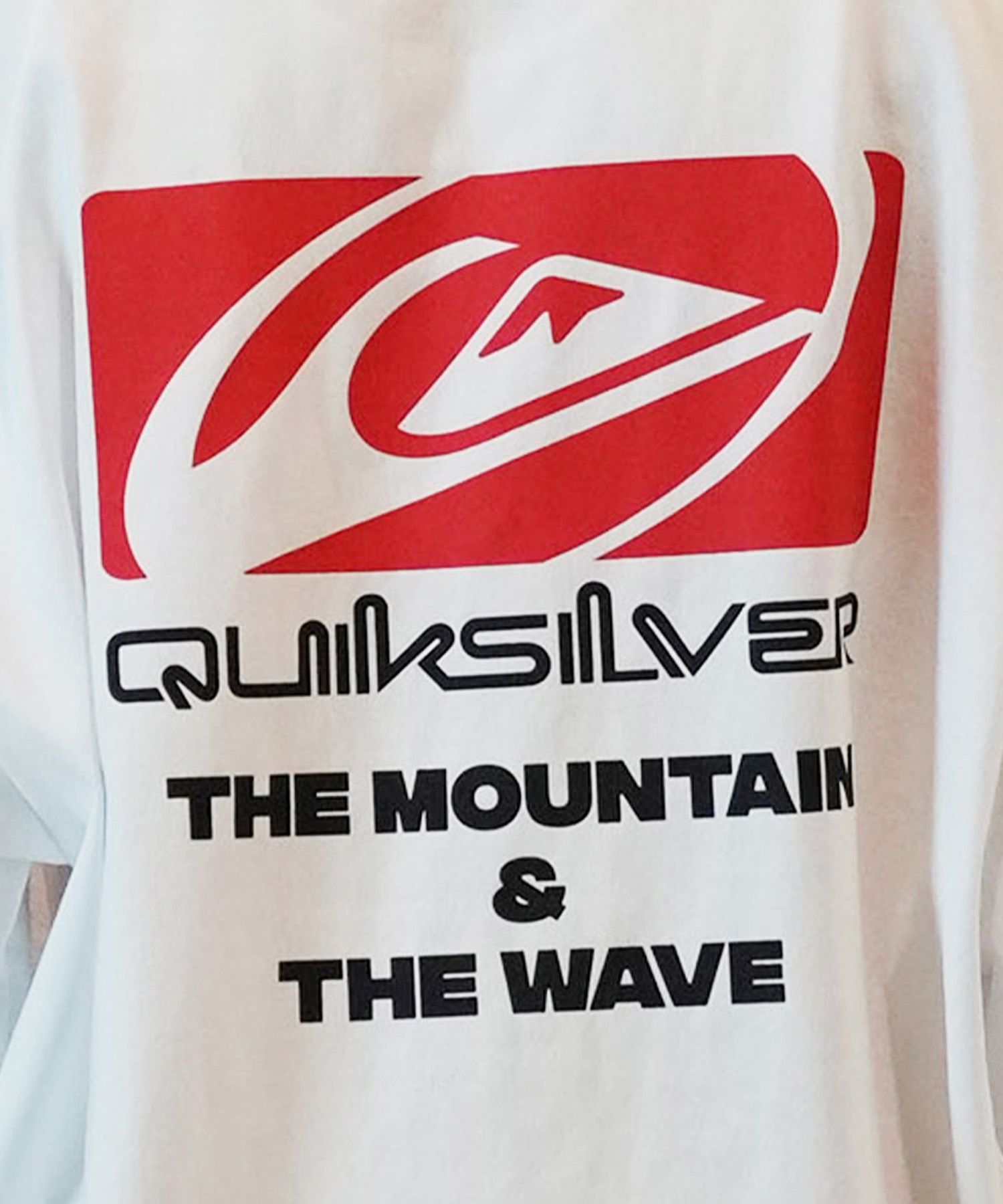 QUIKSILVER クイックシルバー 半袖 Tシャツ メンズ バックプリントTee オーバーサイズ QST242614M ムラサキスポーツ限定(WHT1-M)