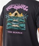 RIP CURL リップカール M THE SPHINX メンズ TEE 半袖Tシャツ ワンポイント 0F6MTE(WT-M)