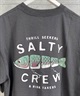 SALTY CREW ソルティークルー メンズ Tシャツ 半袖 バックプリント オーバーサイズ JAPAN LTD 54-234(CHA-M)