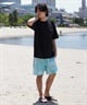 RVCA ルーカ メンズ 半袖 Tシャツ 和柄 DESI JAPAN EXCLUSIVE BE04A-P29 ムラサキスポーツ限定(WHT-S)