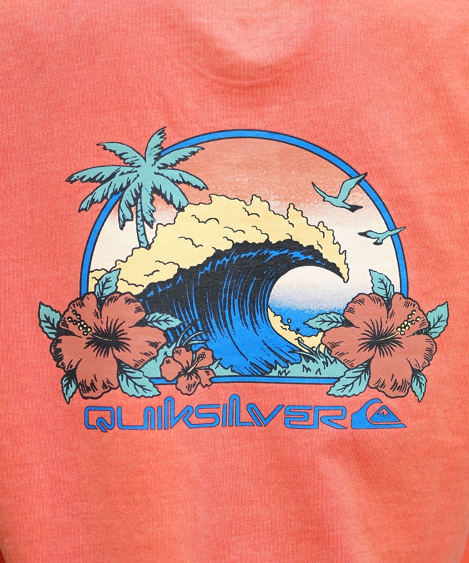 【ムラサキスポーツ限定】 QUIKSILVER クイックシルバー メンズ ロンTEE グラフィックデザイン レギュラーシルエット QLT241622M(NVY-M)