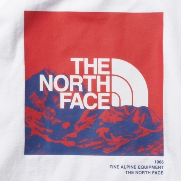 THE NORTH FACE ザ・ノース・フェイス L/S Sleeve Graphic Tee ロングスリーブ スリーブ NT32344 長袖 Tシャツ KK1 A26(W-M)