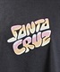 【ムラサキスポーツ限定】 SANTACRUZ/サンタクルーズ 長袖 Tシャツ ロンT オーバーサイズ バックプリント ムラサキスポーツ限定 502233433(WHITE-M)