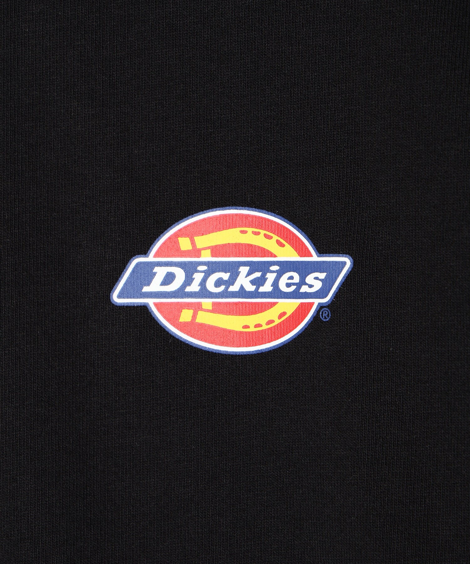 Dickies ディッキーズ PTEE LTD 80257100 キッズ 長袖Tシャツ(01WT-130)