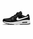 NIKE ナイキ AIR MAX SC PSV エア マックス SC CZ5356-002 ジュニア シューズ スニーカー 17.0cm～22.0cm JJ1 ムラサキスポーツ K8(002-17.0cm)