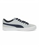 PUMA SKATEBOARDING プーマ スケートボーディング SUEDE SKATE NITRO スウェード スケート ニトロ 386082 シューズ スニーカー ユニセックス JX3 J17(01-22.0cm)