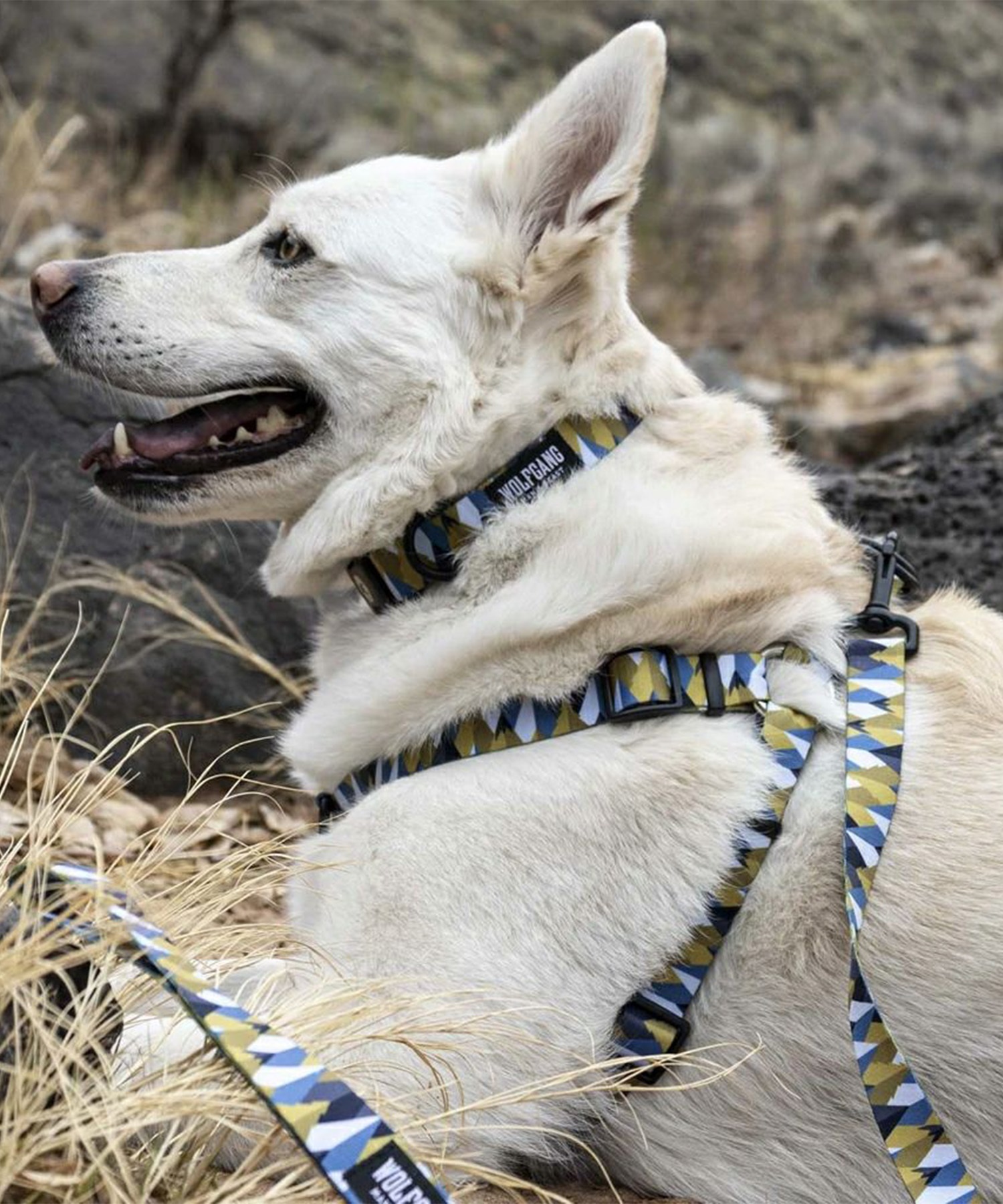 WOLFGANG ウルフギャング 犬用 ハーネス GrandView HARNESS Sサイズ 超小型犬用 小型犬用 胴輪 グランドビュー マルチカラー WH-001-02(MULTI-S)