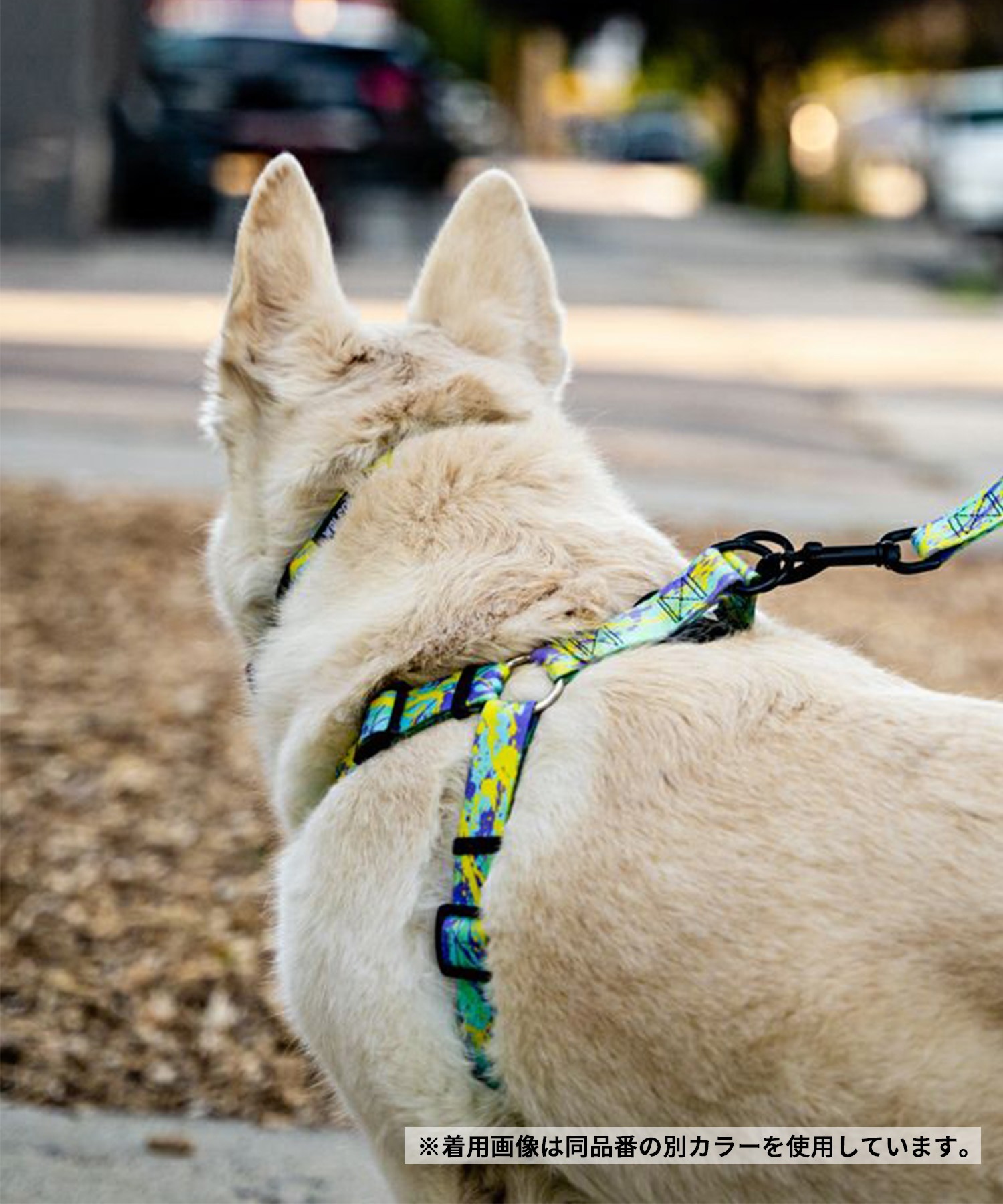 WOLFGANG ウルフギャング 犬用 ハーネス DarkFloral HARNESS Mサイズ 小型犬用 中型犬用 胴輪 ダークフローラル 花柄 ブラック WH-002-00(BK-M)