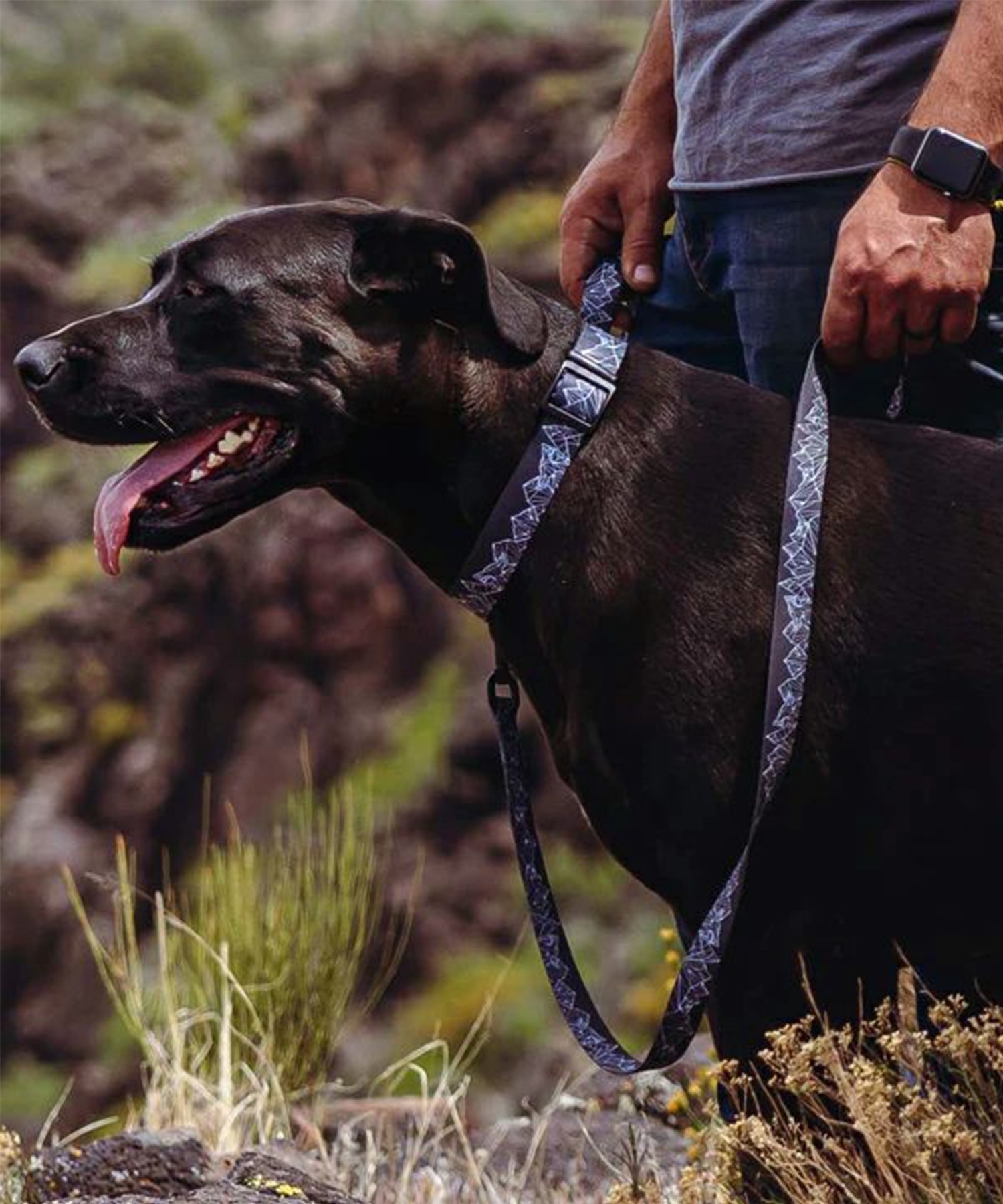 WOLFGANG ウルフギャング 犬用 首輪 WolfMountain Collar Mサイズ 小型犬用 中型犬用 ウルフマウンテン カラー グレー系 WC-002-83(GY-M)