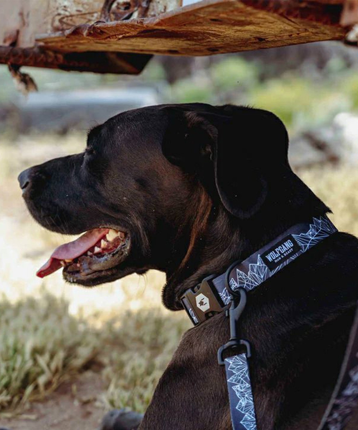 WOLFGANG ウルフギャング 犬用 首輪 WolfMountain Collar Lサイズ 中型犬用 大型犬用 ウルフマウンテン カラー グレー系 WC-003-83(GY-L)