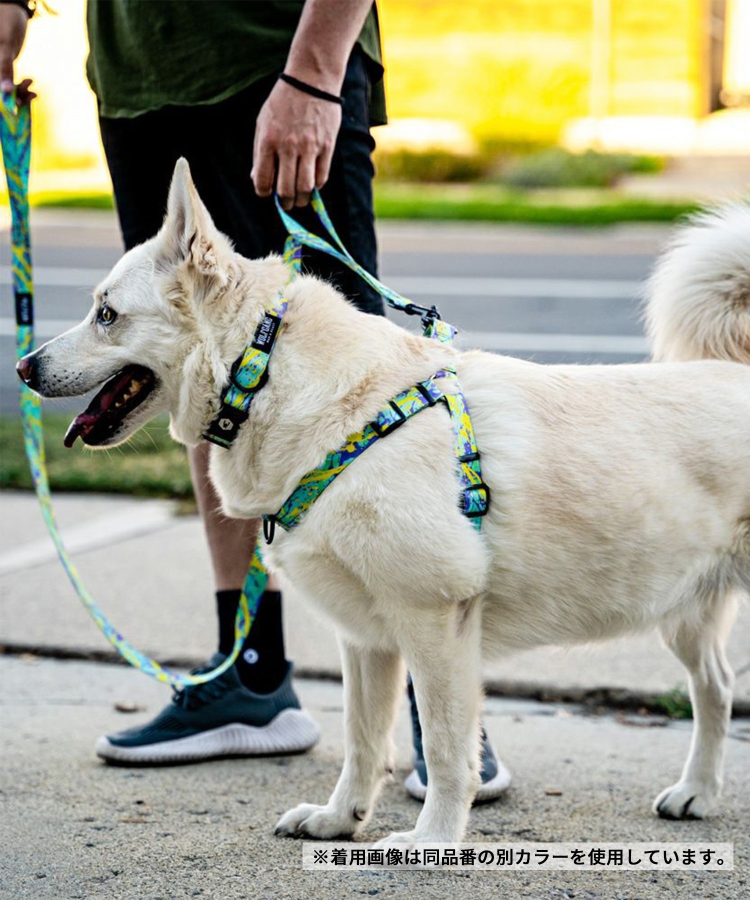 WOLFGANG ウルフギャング 犬用 ハーネス WolfMountain Harness Sサイズ 超小型犬用 小型犬用 胴輪 ウルフマウンテン グレー系 WH-001-83(GY-S)