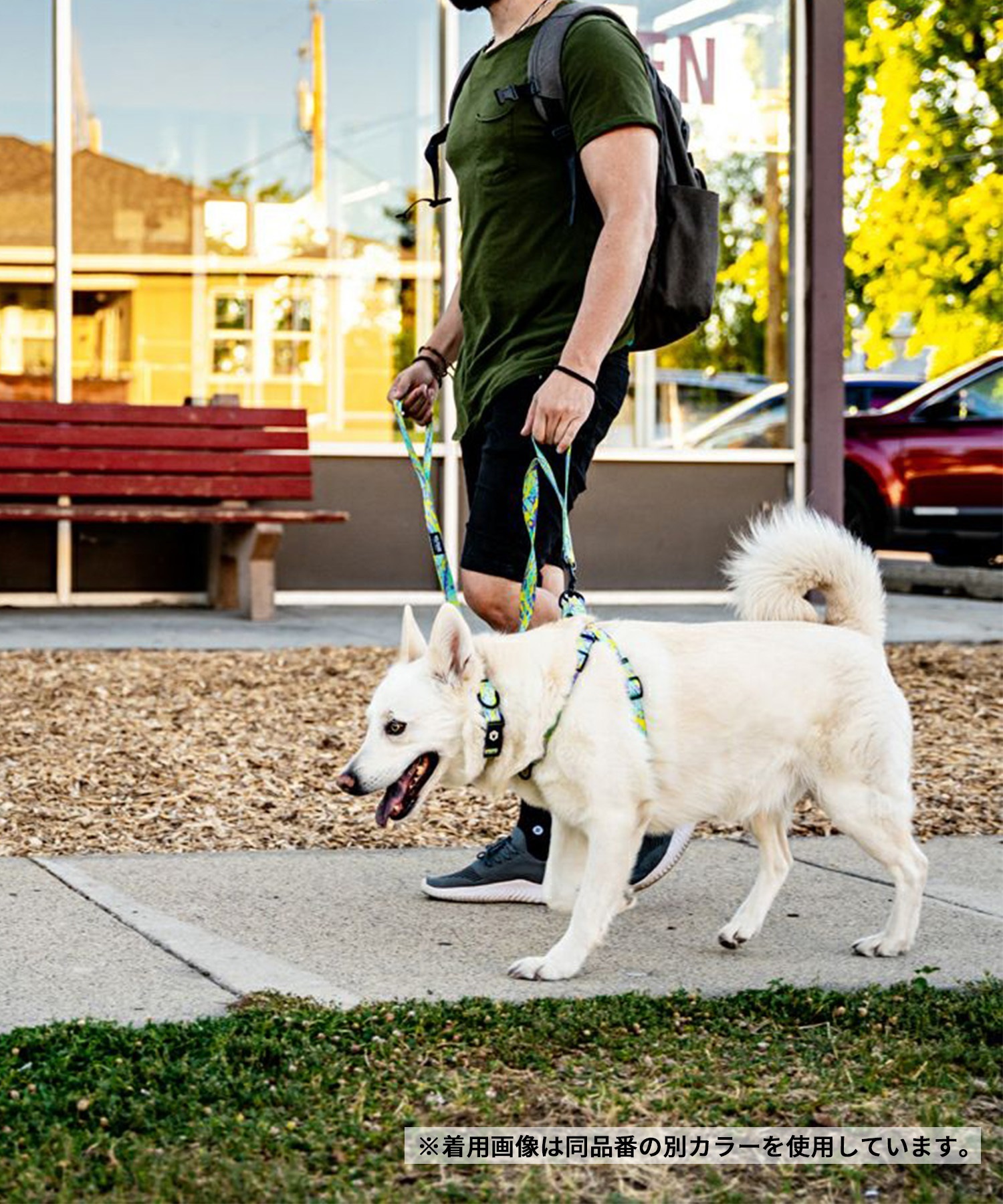 WOLFGANG ウルフギャング 犬用 ハーネス WolfMountain Harness Sサイズ 超小型犬用 小型犬用 胴輪 ウルフマウンテン グレー系 WH-001-83(GY-S)