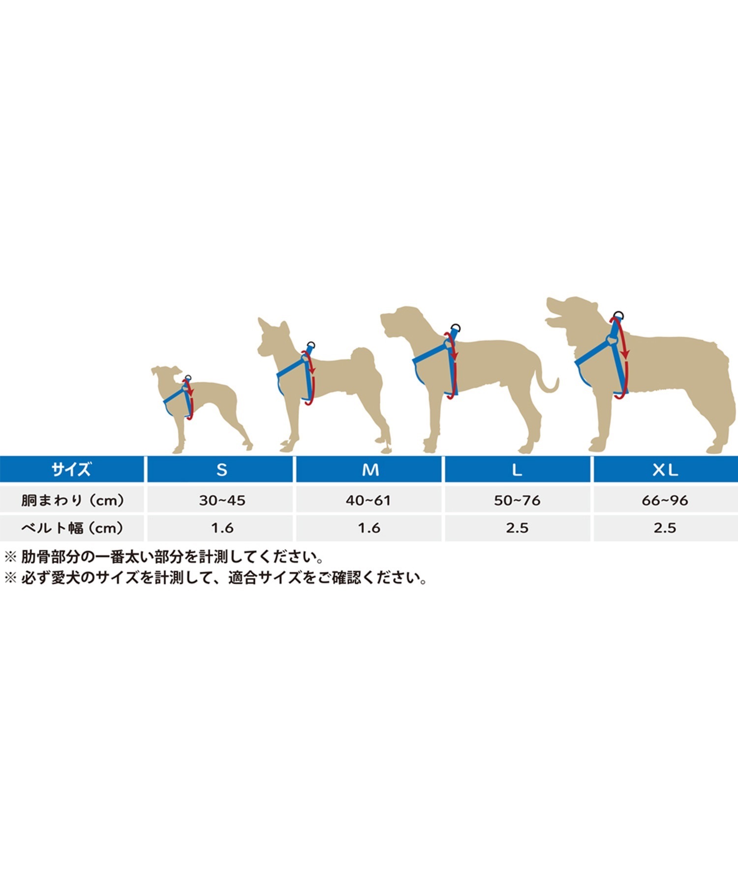 WOLFGANG ウルフギャング 犬用 ハーネス SunsetPalms Harness Sサイズ 超小型犬用 小型犬用 胴輪 サンセットパームス ブルー×オレンジ WH-001-86(BL-S)