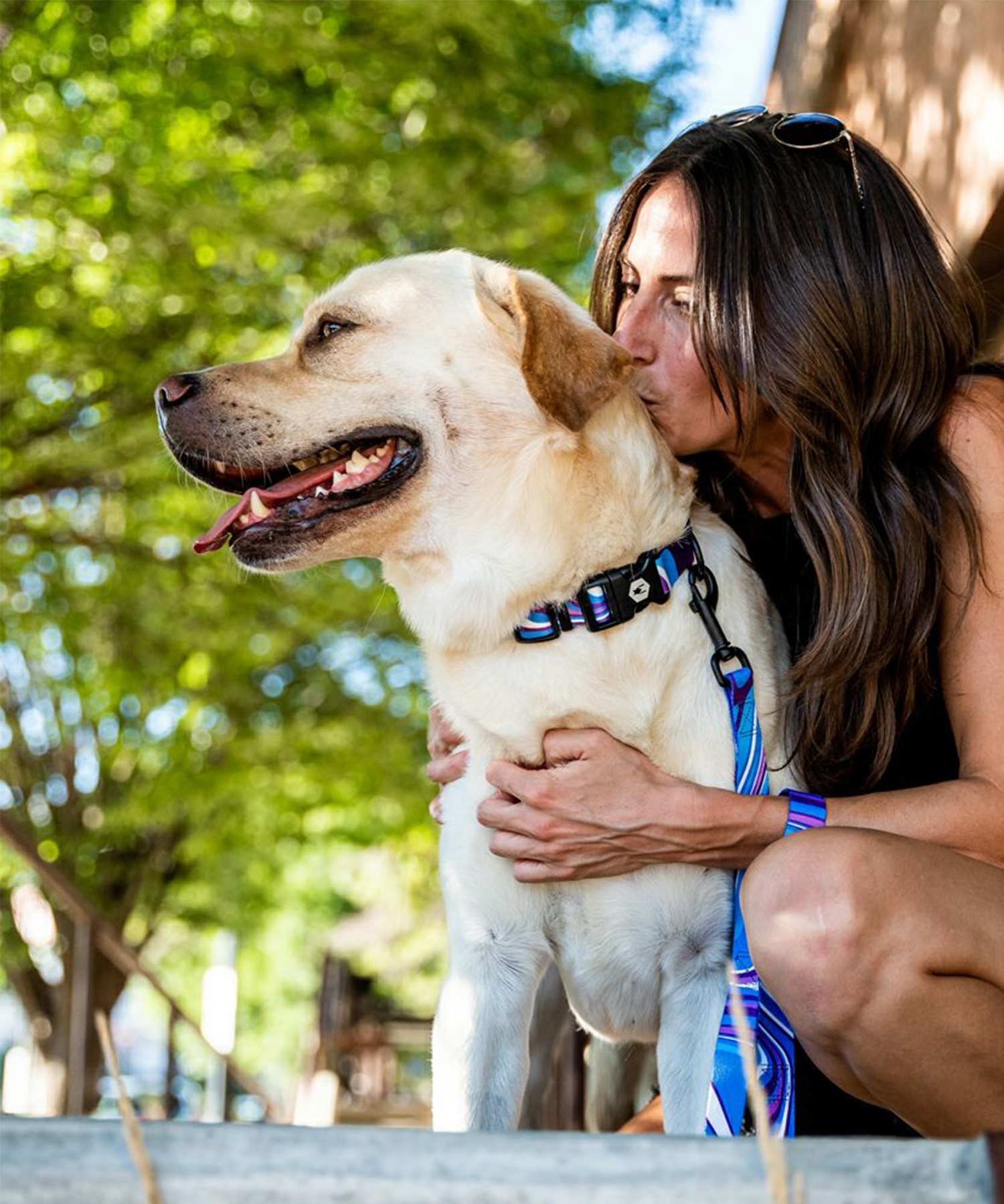 WOLFGANG ウルフギャング 犬用 首輪 MarbleWave Collar Sサイズ 超小型犬用 小型犬用 マーブルウェイブ カラー ブルー系 WC-001-102(PU-S)