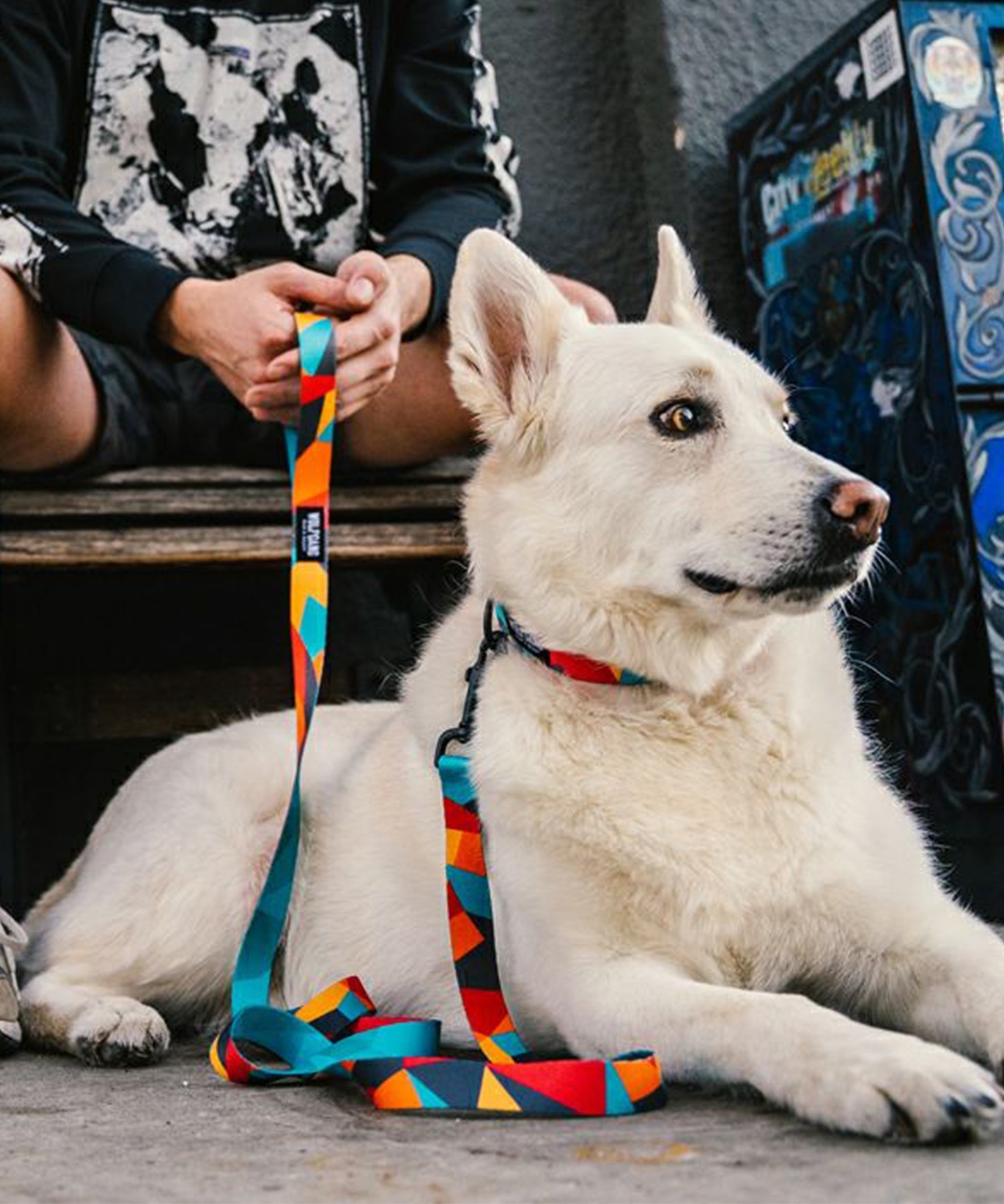 WOLFGANG ウルフギャング 犬用 首輪 ShatterShapes Collar Sサイズ 超小型犬用 小型犬用 シャッターシェイプス カラー マルチカラー WC-001-105(MULTI-S)