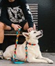 WOLFGANG ウルフギャング 犬用 首輪 ShatterShapes Collar Lサイズ 中型犬用 大型犬用 シャッターシェイプス カラー マルチカラー WC-003-105(MULTI-L)