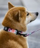 WOLFGANG ウルフギャング 犬用 首輪 DigiFloral Collar Lサイズ 中型犬用 大型犬用 デジフローラル カラー ピンク系 WC-003-96(PK-L)