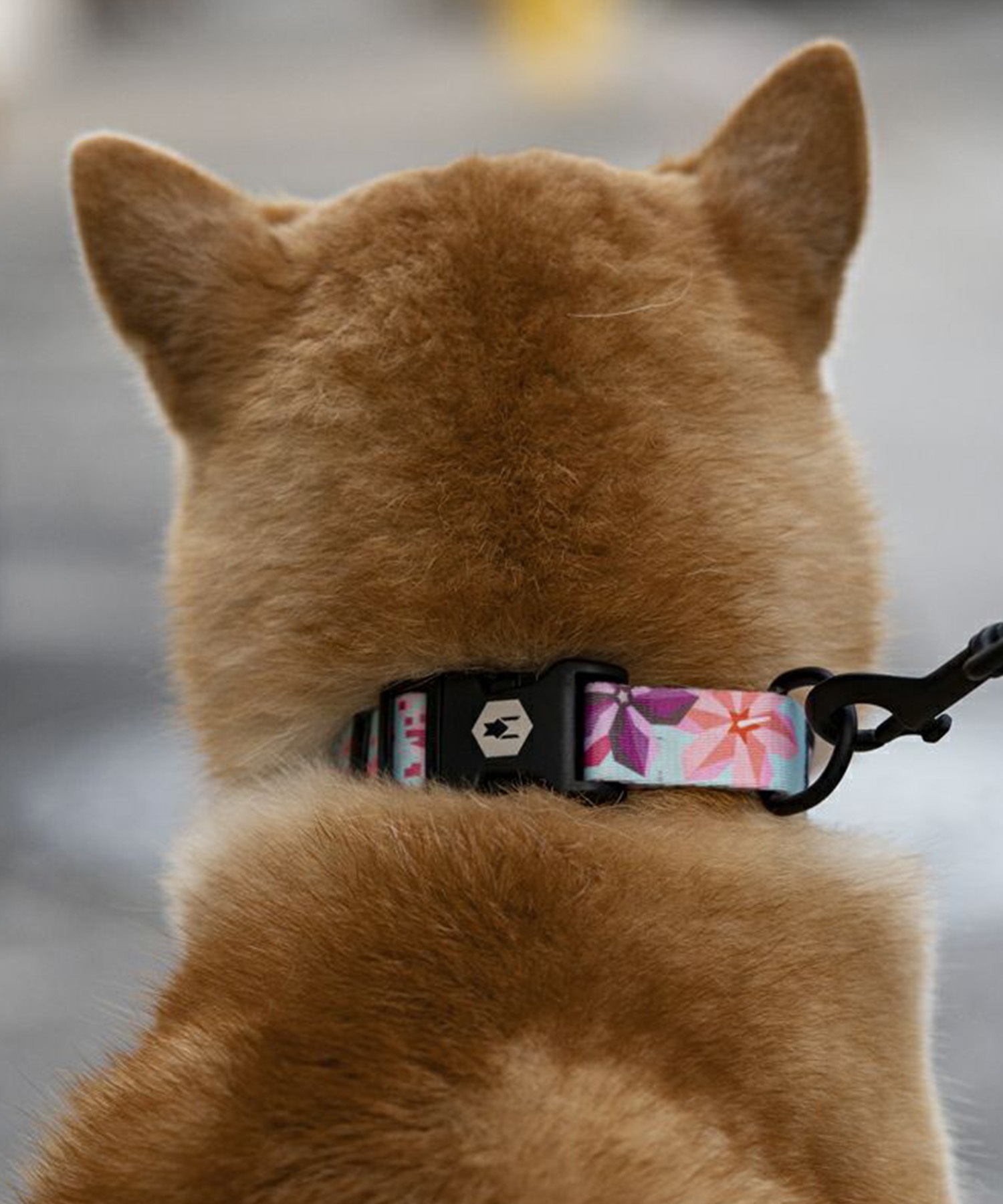 WOLFGANG ウルフギャング 犬用 首輪 DigiFloral Collar Lサイズ 中型犬用 大型犬用 デジフローラル カラー ピンク系 WC-003-96(PK-L)