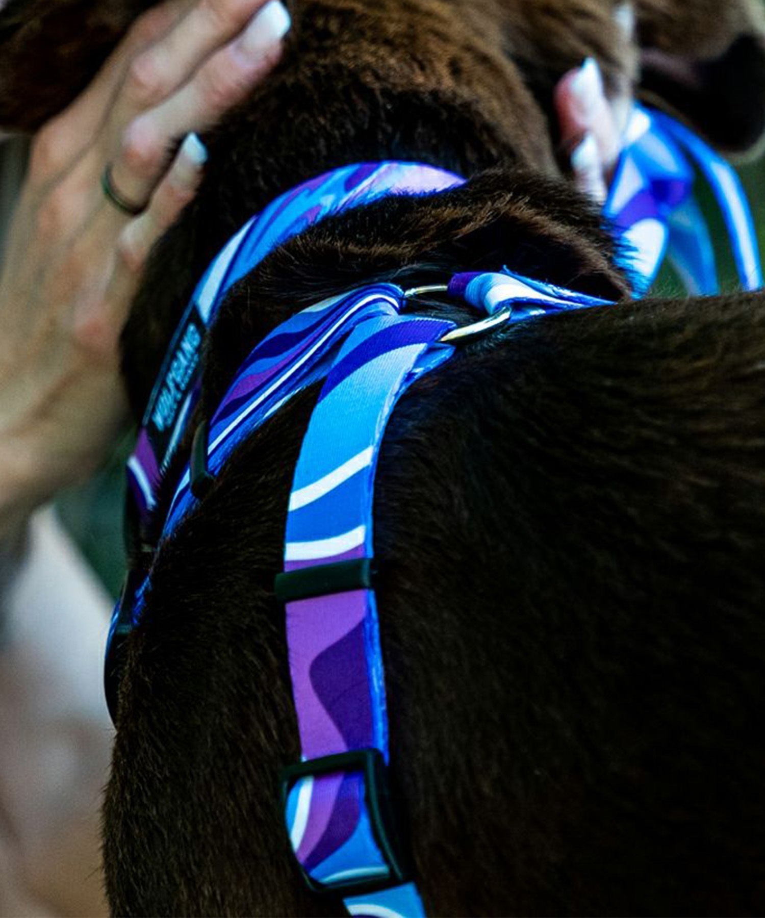 WOLFGANG ウルフギャング 犬用 ハーネス MarbleWave Harness Lサイズ 中型犬用 大型犬用 胴輪 マーブルウェイブ ブルー系 WH-003-102(PU-L)
