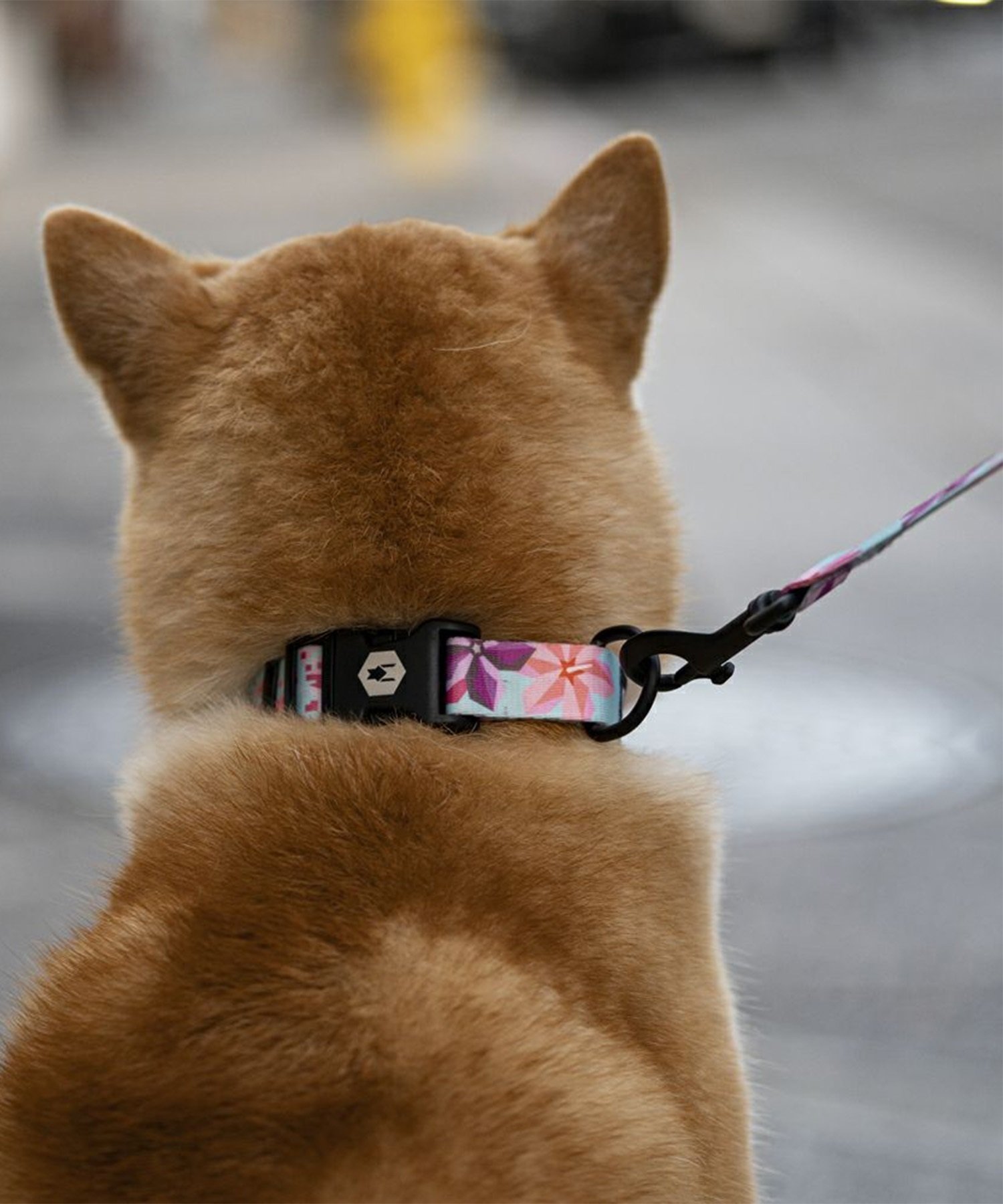 WOLFGANG ウルフギャング 犬用 リード DigiFloral Leash Sサイズ 小型犬用 デジフローラル リーシュ ピンク系 WL-001-96(PK-S)