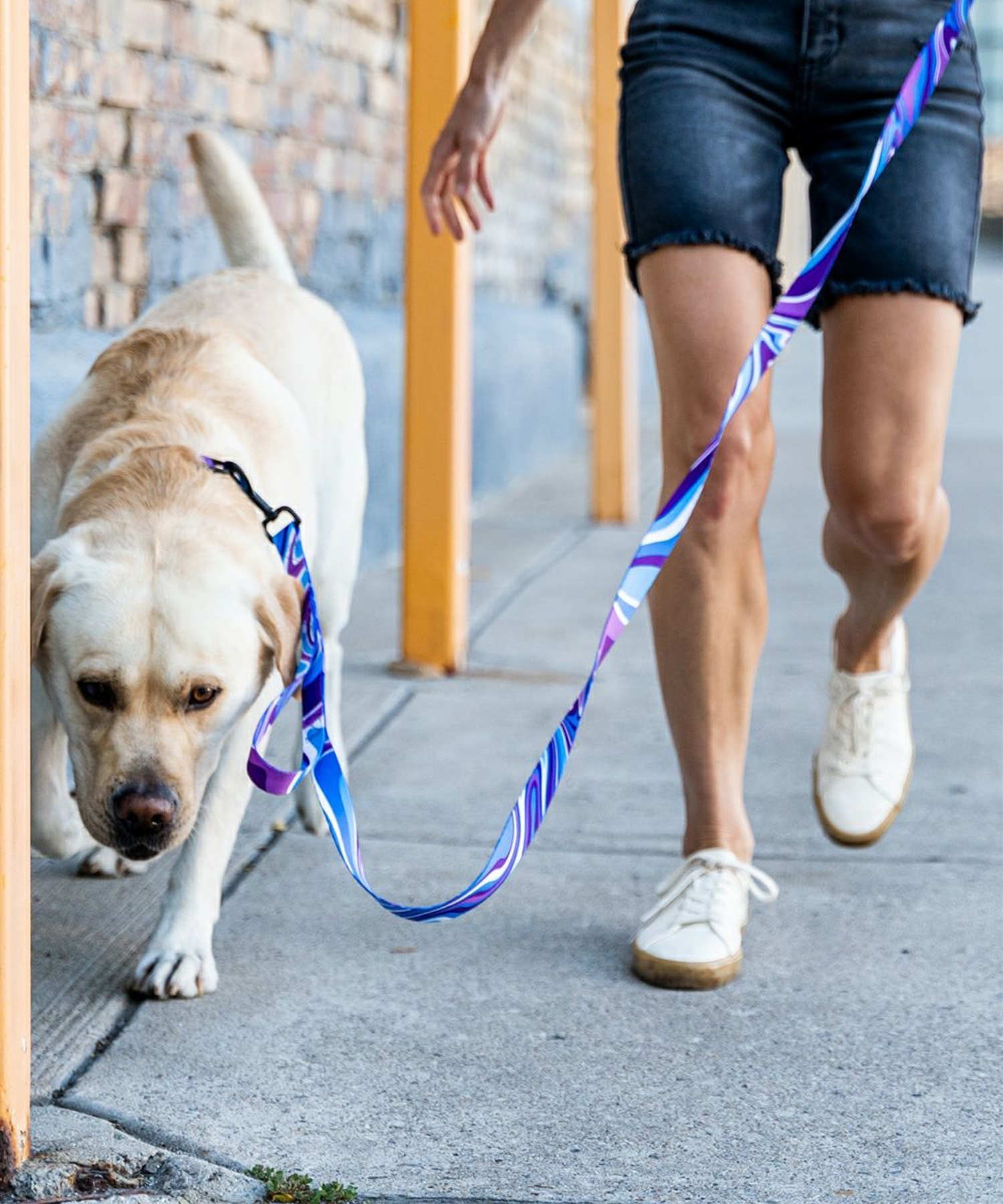 WOLFGANG ウルフギャング 犬用 リード MarbleWave Leash Mサイズ 中型犬用 大型犬用 マーブルウェイブ リーシュ  ブルー系 WL-002-102(PU-M)