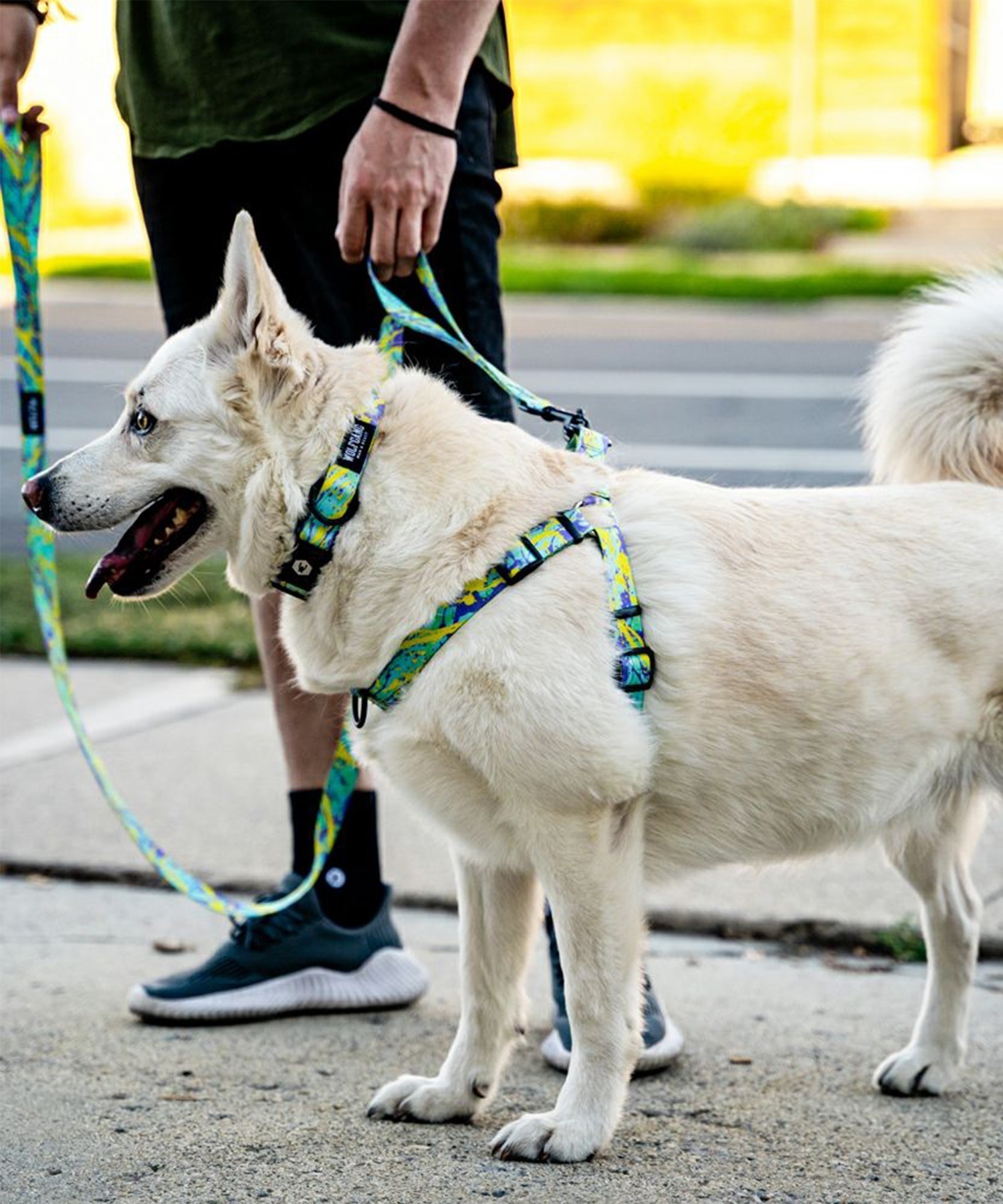 WOLFGANG ウルフギャング 犬用 ハーネス ModernCanvas Harness Sサイズ 超小型犬用 小型犬用 胴輪 モダンキャンバス グリーン系 WH-001-103(GR-S)